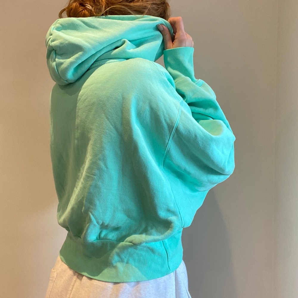 Aritzia hoodie